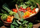 Lav mad med ingredienser fra din egen have