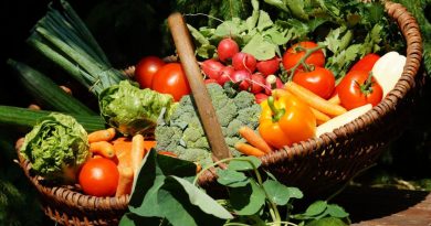 Lav mad med ingredienser fra din egen have